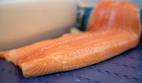 Filleting