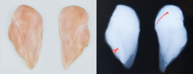 sensorx-poultry-fillets-scan.jpg