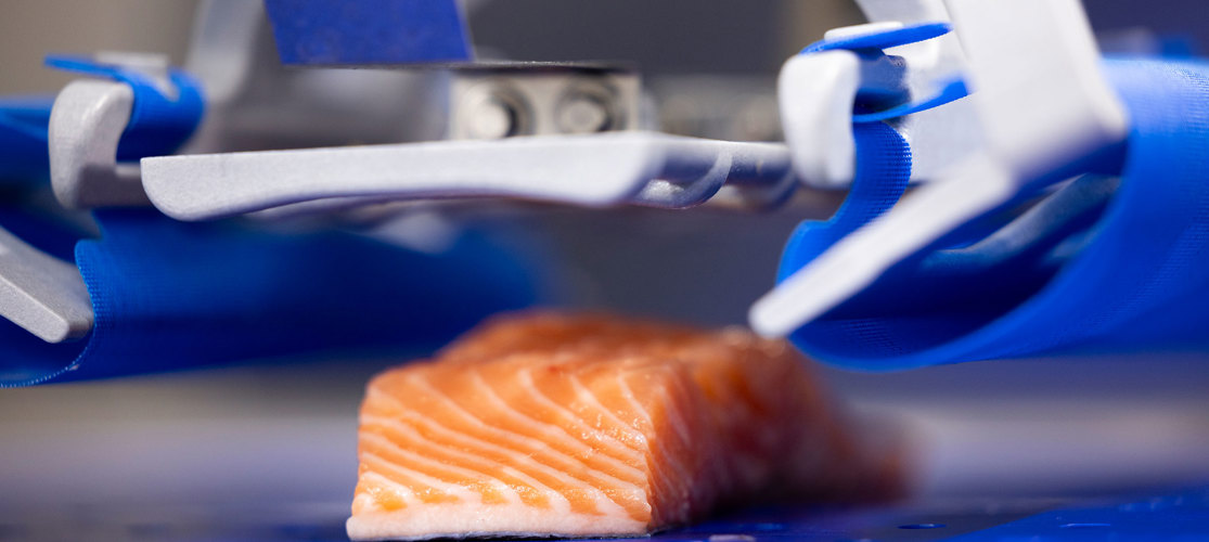 Robopacker Salmon Detail