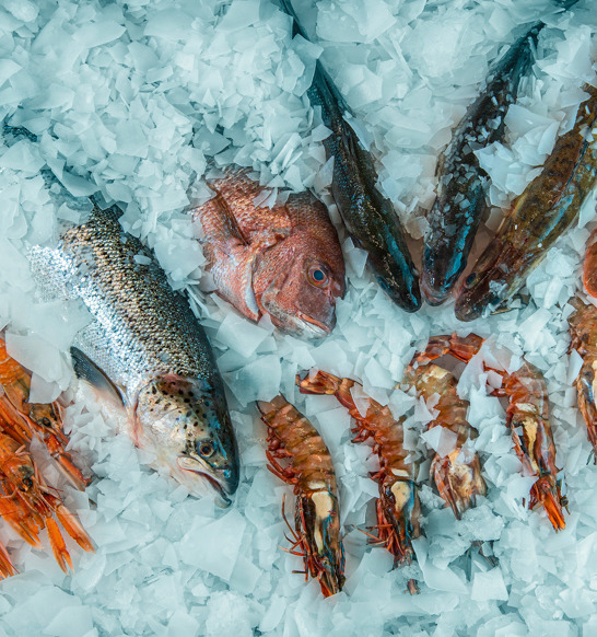 Primary Processing Seafood