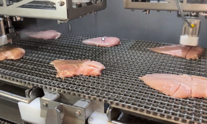DSI™ Waterjet Portioning System