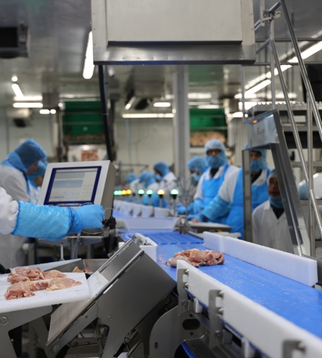 Central Bernard Streamline