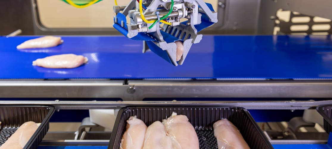 Robopacker Products3 2400