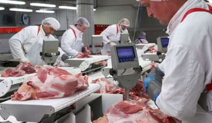 StreamLine for pork