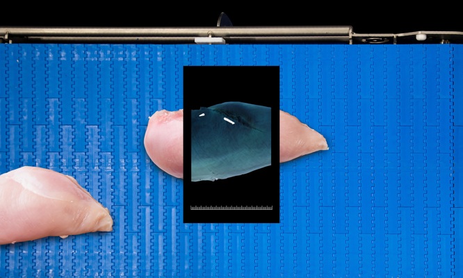 SensorX