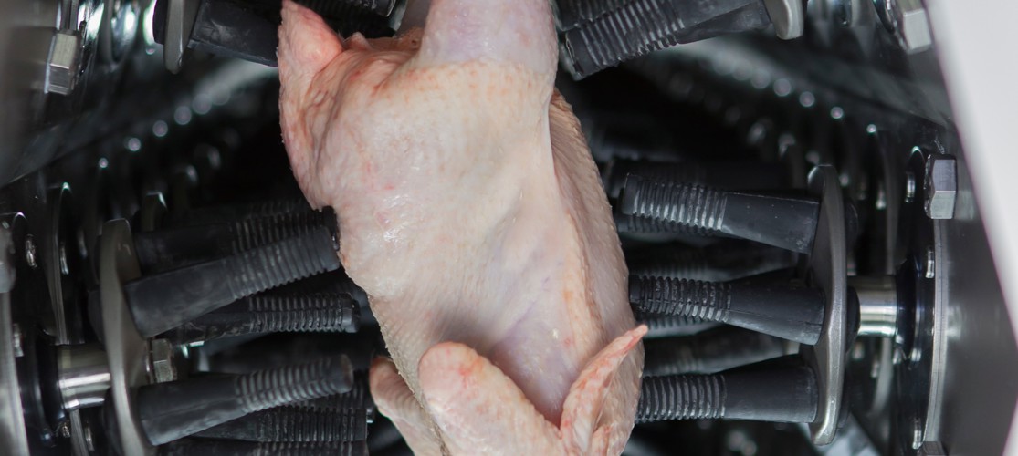 Plucking Fingers Inside