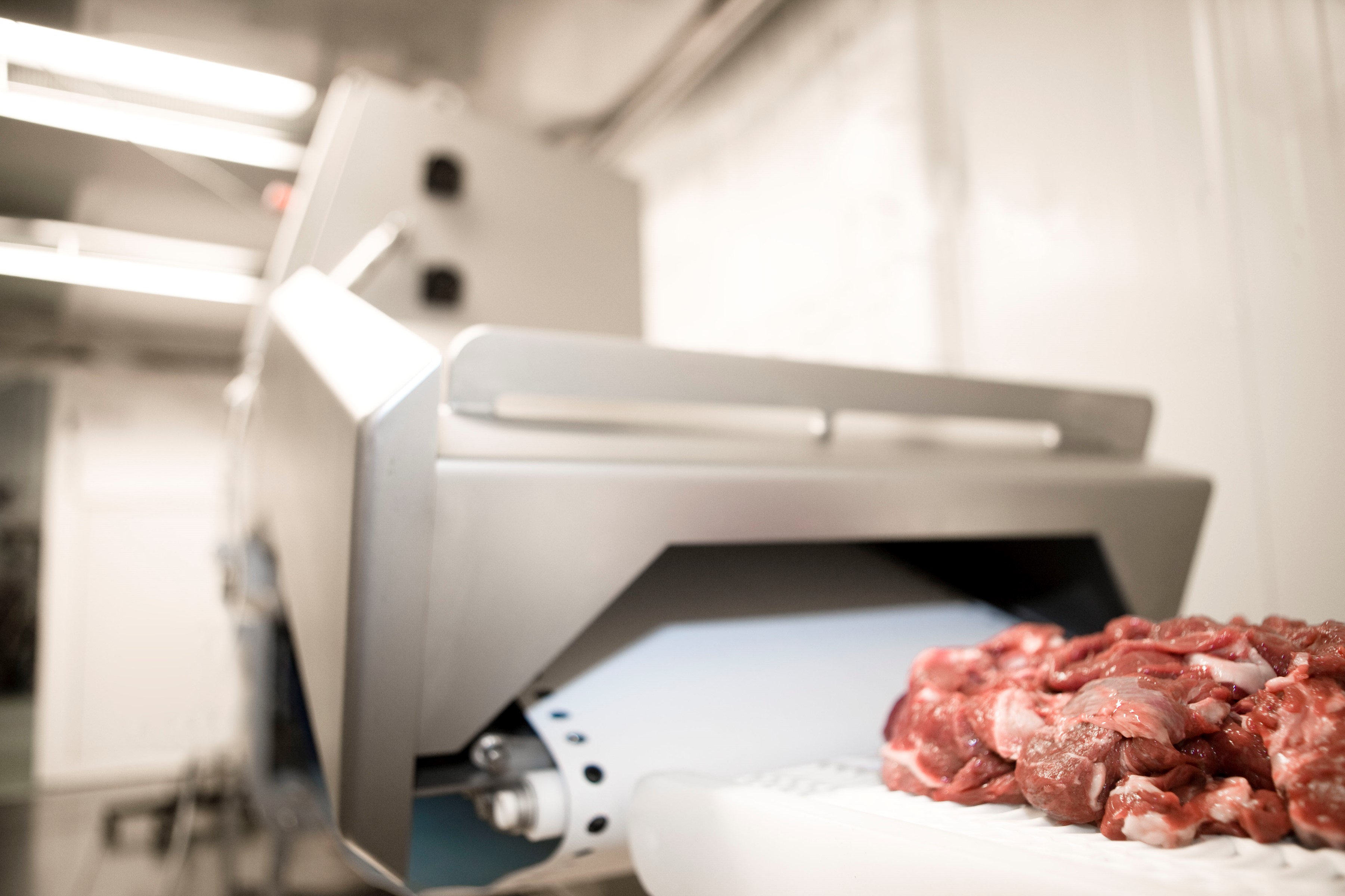 Inspection sausage processing Marel