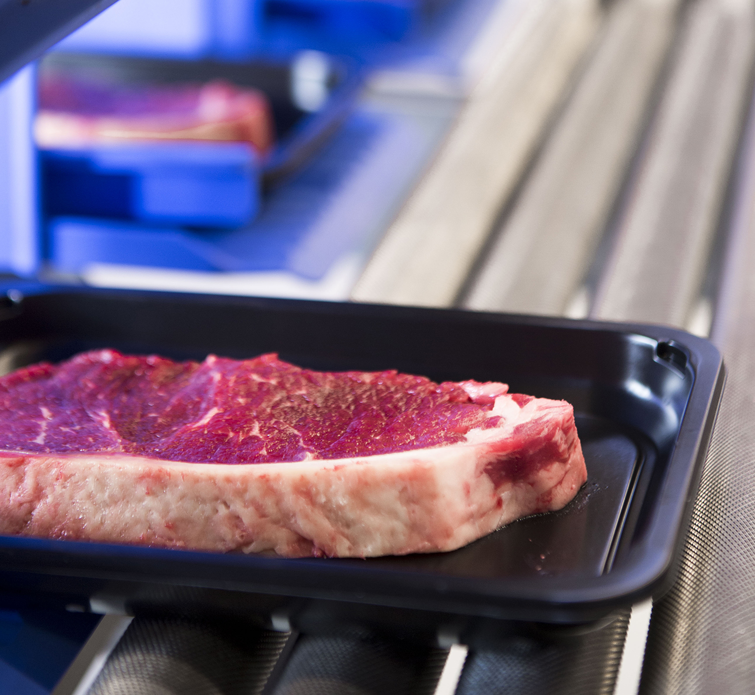 Trends in fresh meat portion cutting Marel