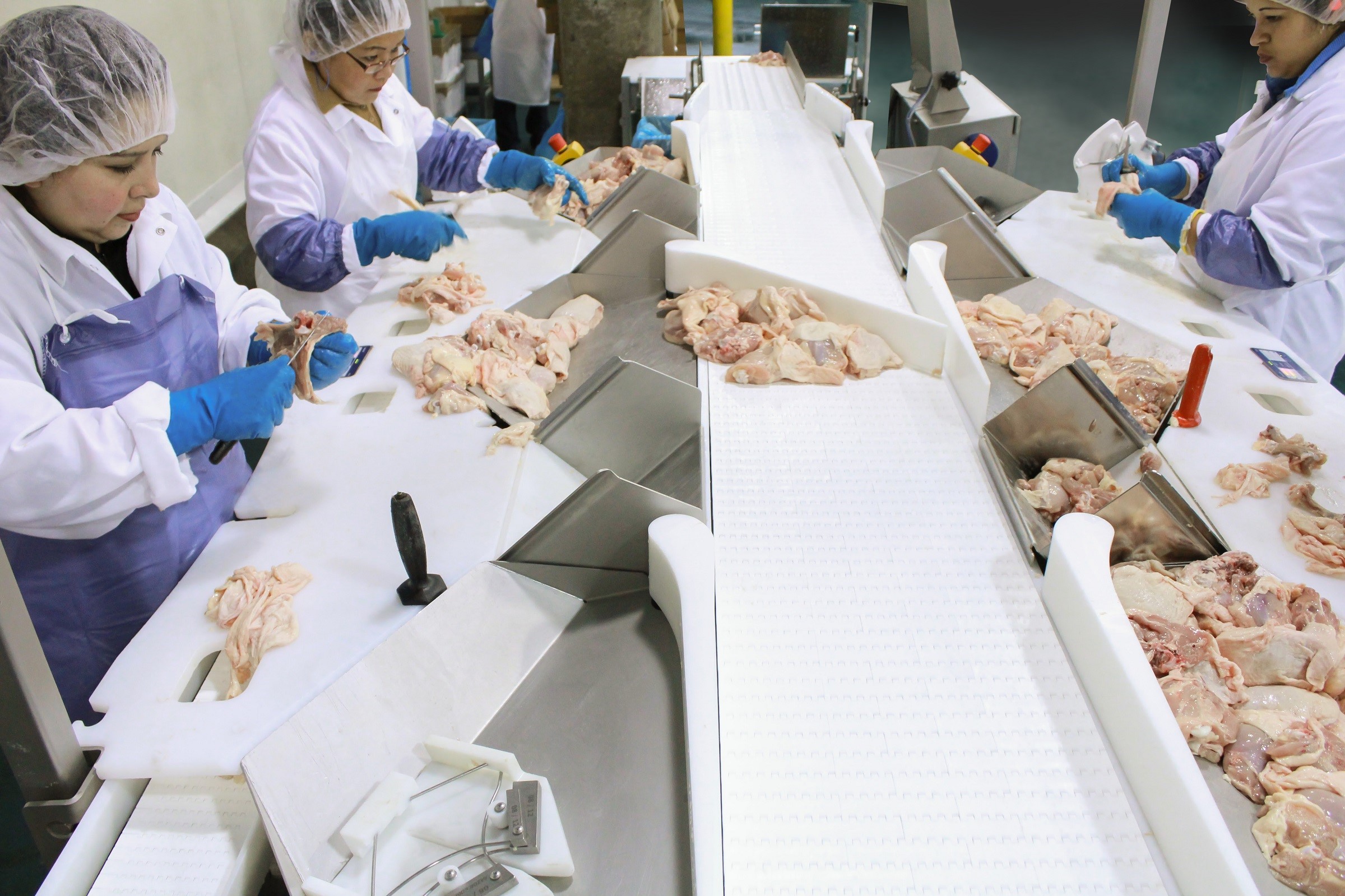 Ergonomic Risks in Poultry Deboning