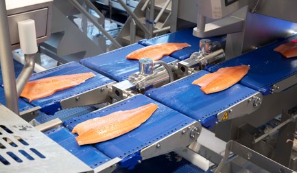 Lerøy Midt: Fresh salmon from the smart factory 