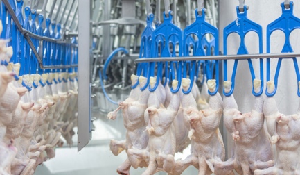 8 key questions to understand vent cutting