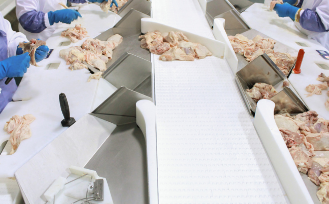 Marel Streamline Technology For Processing