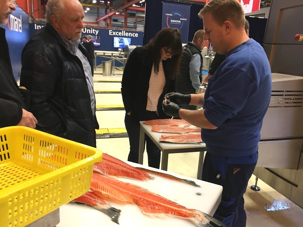 Изменения на рынке рыбопереработки: новости с выставки Seafood ShowHow