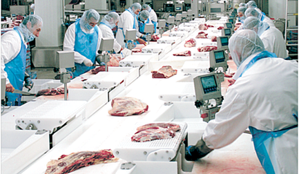 Beef boning hall system fulfils criteria at Marcher