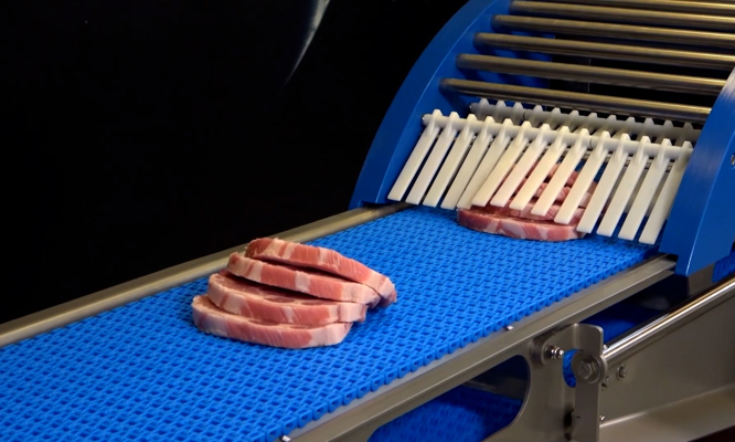 Portion Cutter