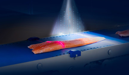 How digital technology ensures fish product traceability