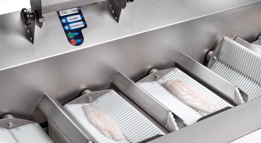 Targetbatcher TBL 3000 Frozen Pangasius