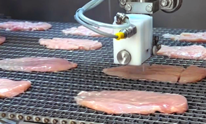 DSI™ Waterjet Portioning System