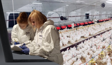 mEATquality research with Marel participation