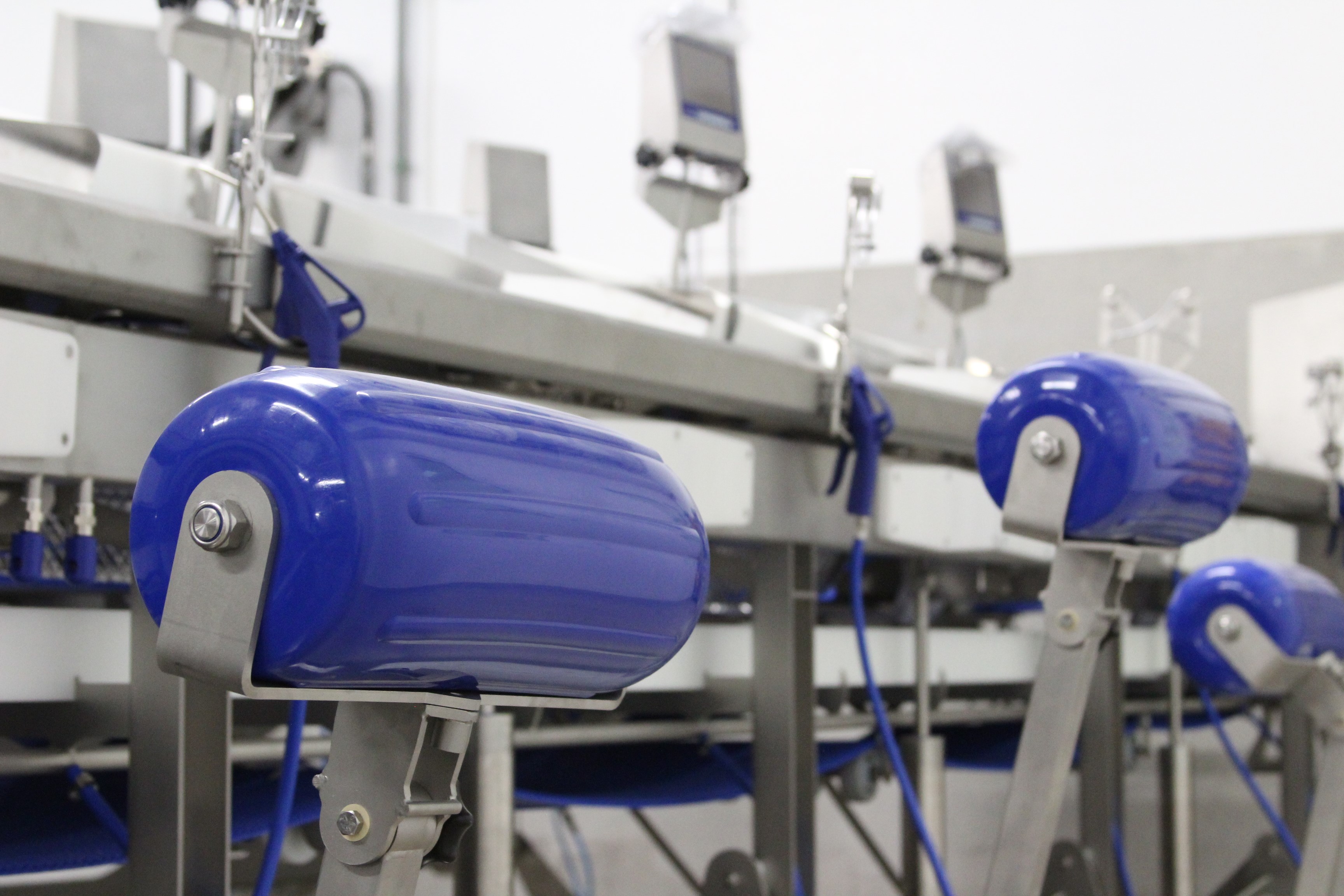 FISK Seafood invests in new production line from Marel