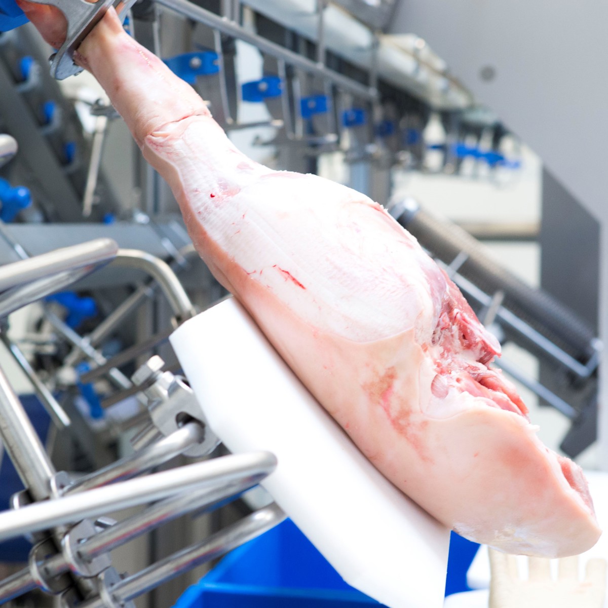 Ergonomic Risks in Poultry Deboning