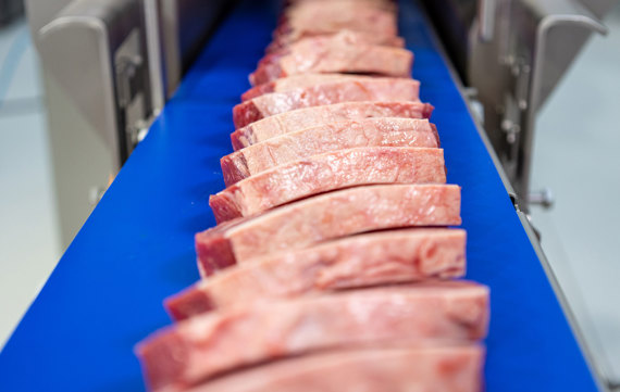 Portioning Pork Loin PUMA Belt Outfeed
