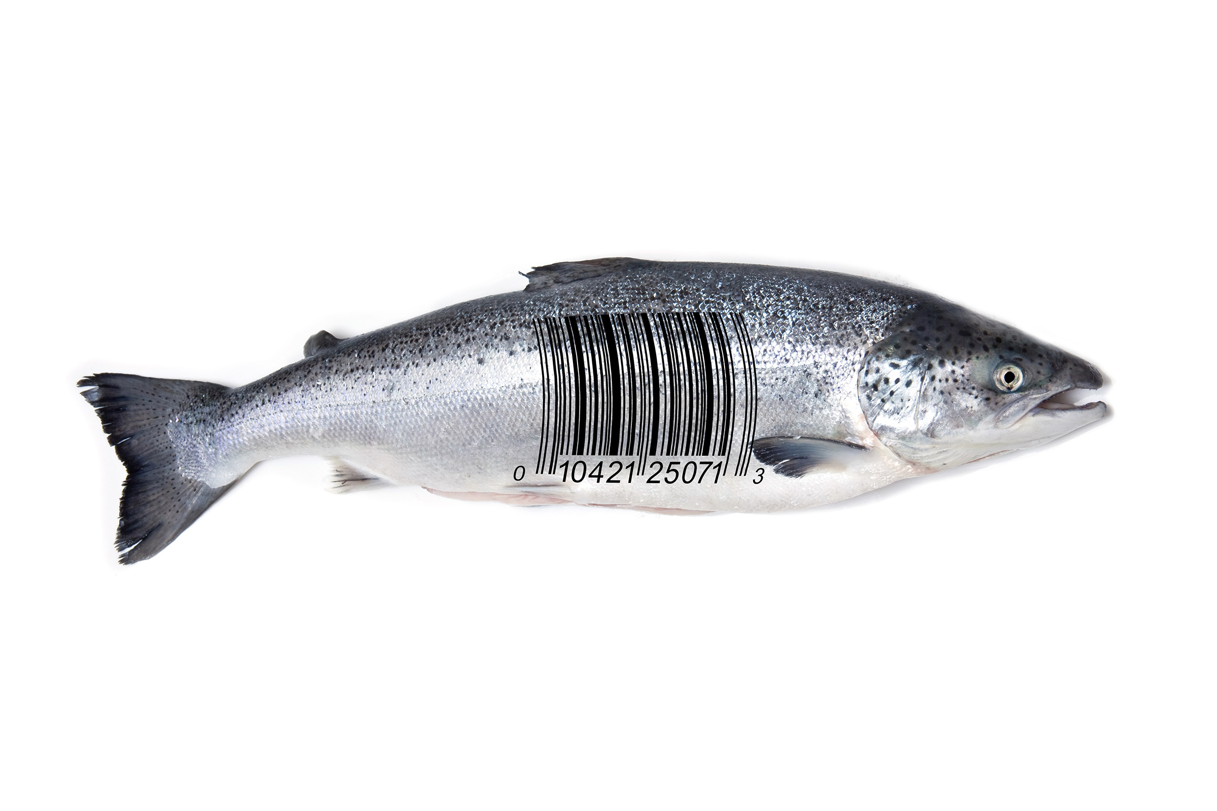 Innova Salmon Barcode