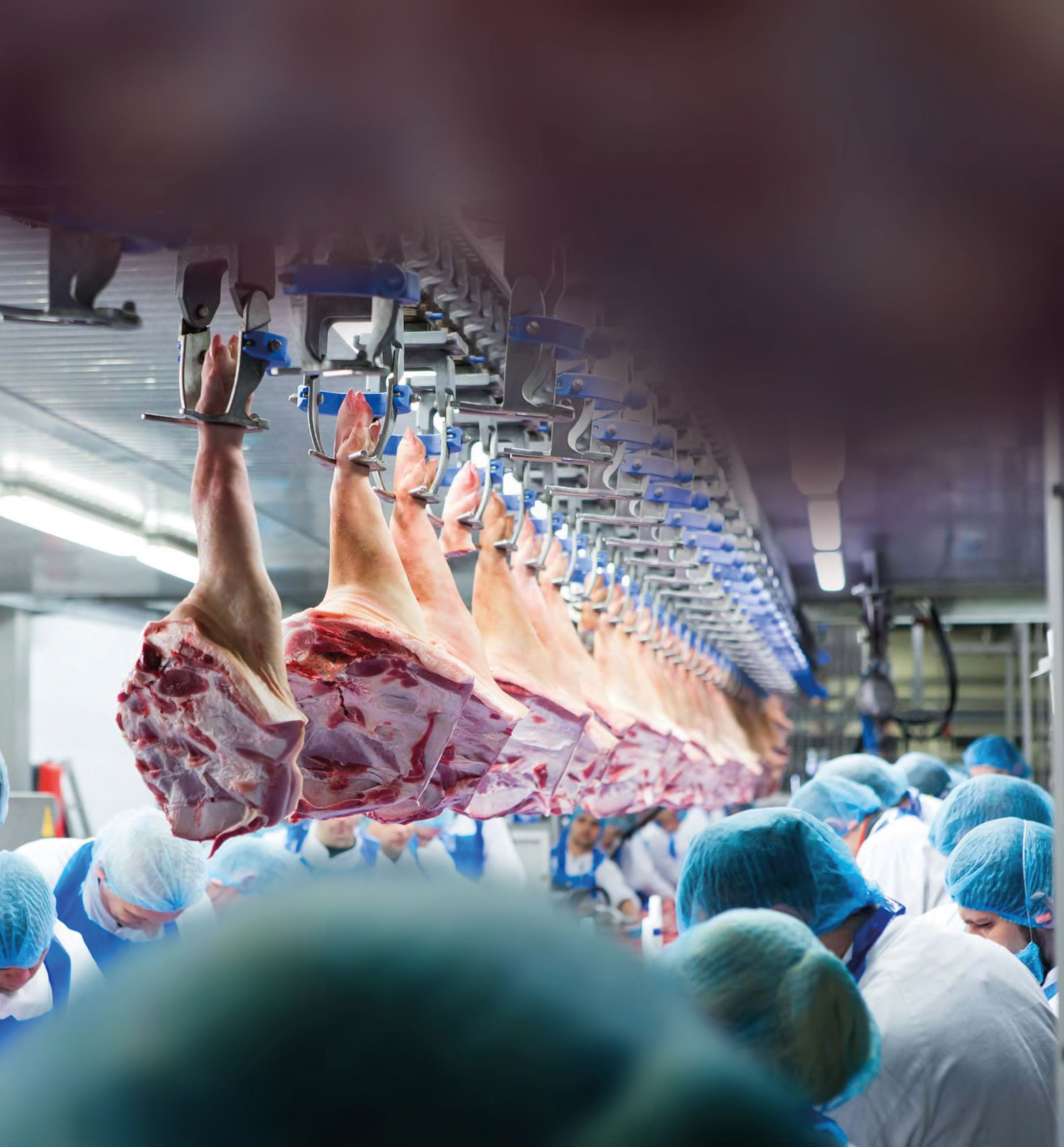 How optimized deboning and trimming is transforming meat processing Marel