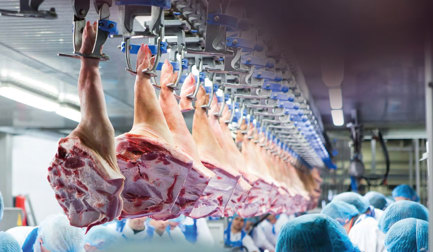 Deshuesado y recorte optimizados transforman el procesamiento de carne