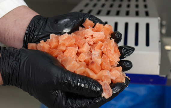 TREIF Dicing Fresh Salmon