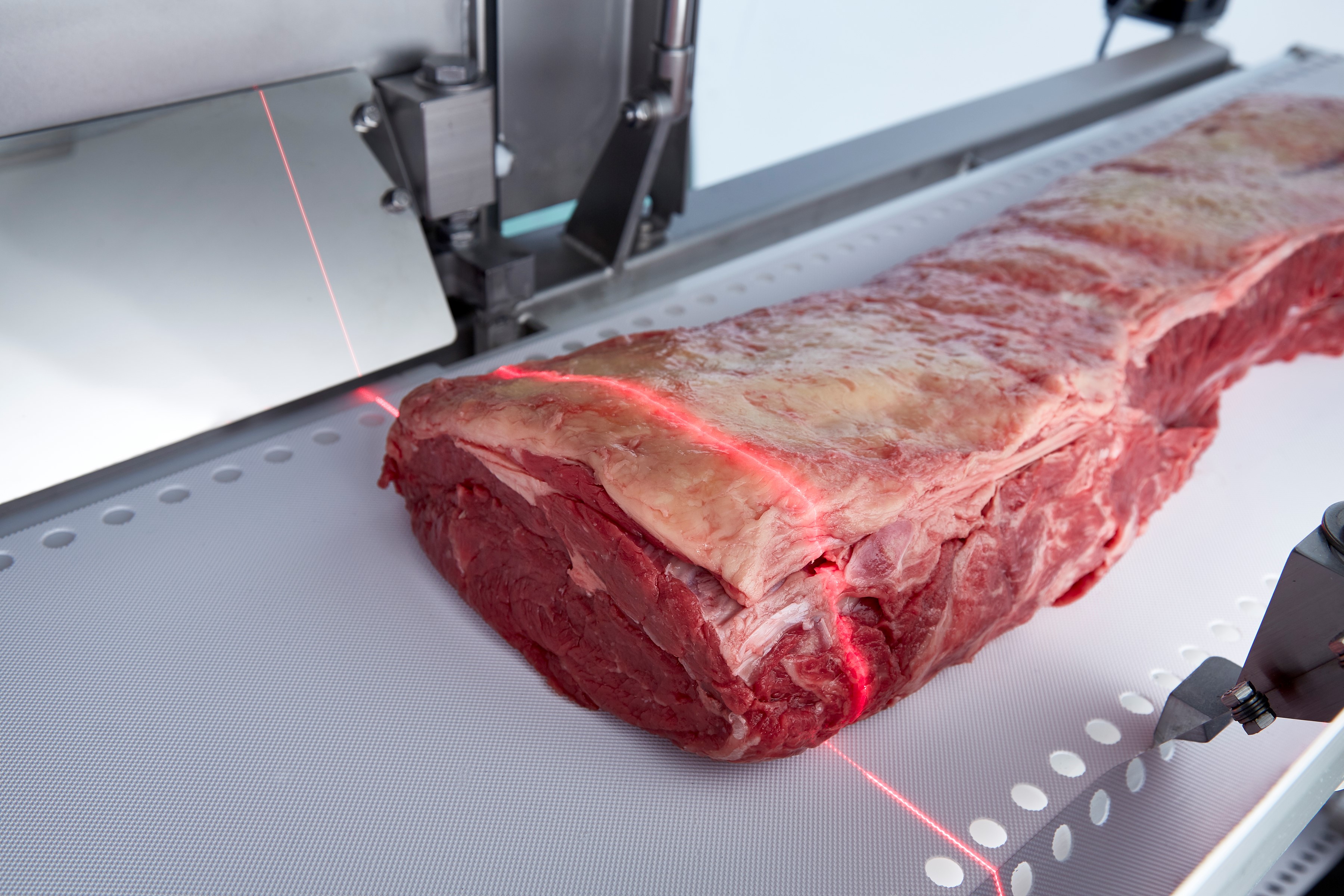 Marel meat cutting machine I-Cut 130