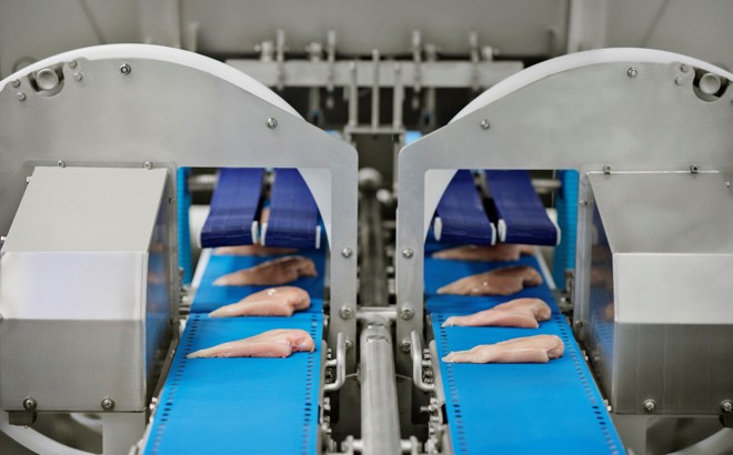 I Cut 122 Trimsort 2Lanes