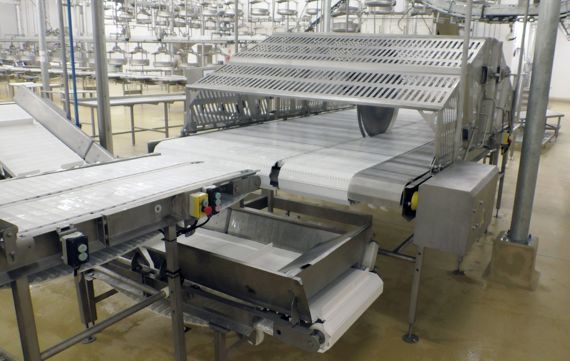 carcass cutter for primal cutting system in pork processing