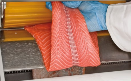 MAJA ESB 2P salmon fillet skinning