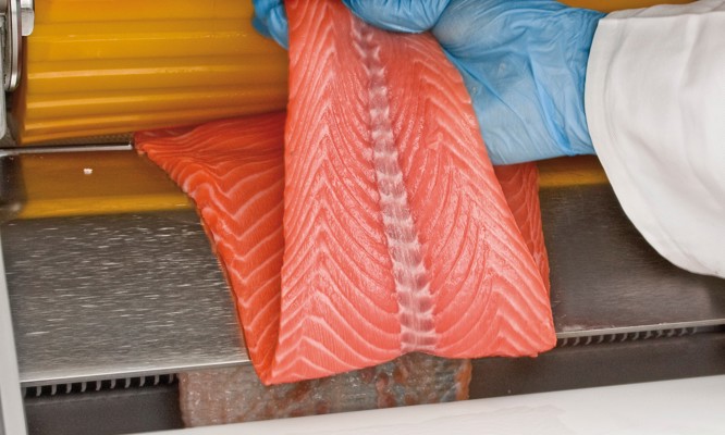 Conveyorized Salmon Skinner