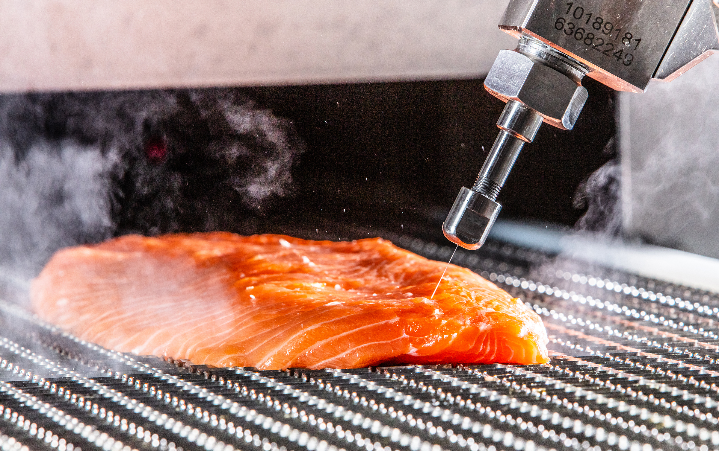 Advancing fish processing with the latest in the FleXicut family 