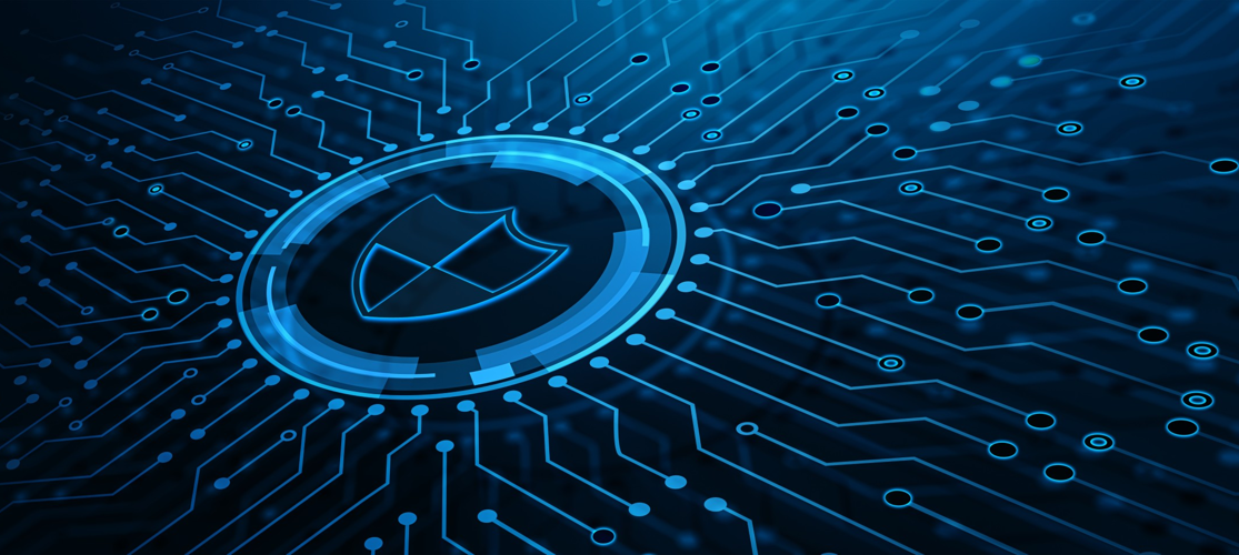 Fish Cyber Security 4