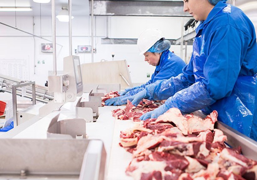 Industrial Meat Processing & Solutions | Marel