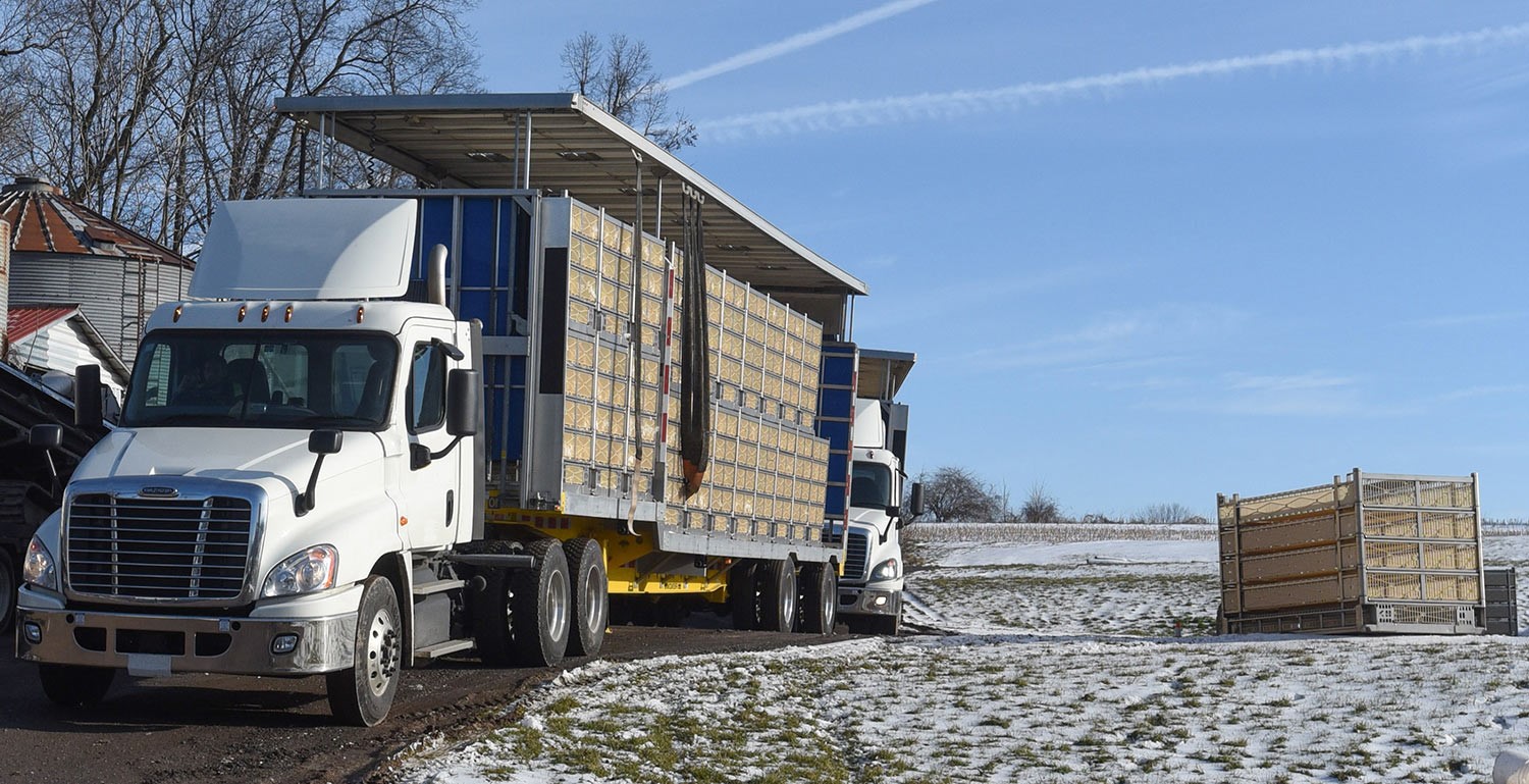 smartstack-loading-truck-poultry.jpg