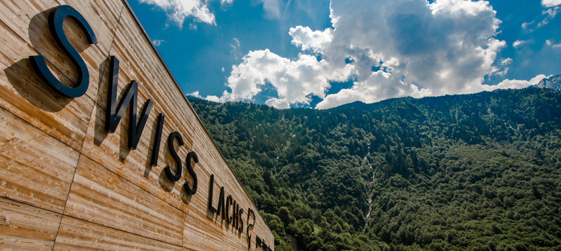 Swiss Lachs Lostallo Landscape