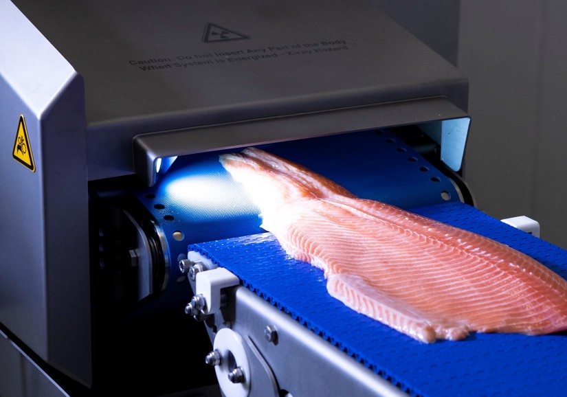 FleXicut Salmon 2.jpg
