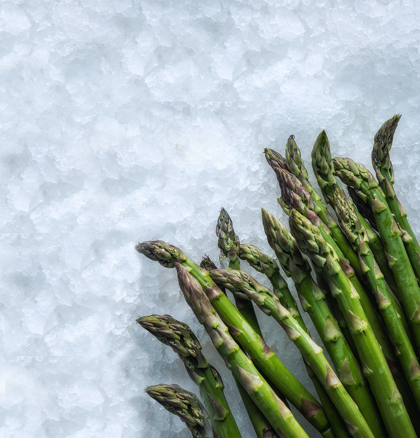 Asparagus on MAJA ice
