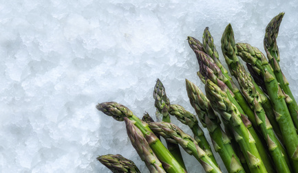 MAJA Ice keeps asparagus fresh