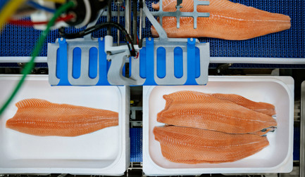 Las 5 principales tendencias que configuran la industria de procesamiento de salmón