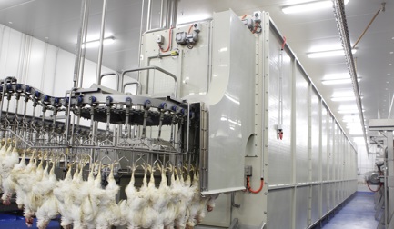 8 Fragen zum AeroScalder