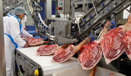 Three-point approach to transform pork processing into a flexible and efficient solution