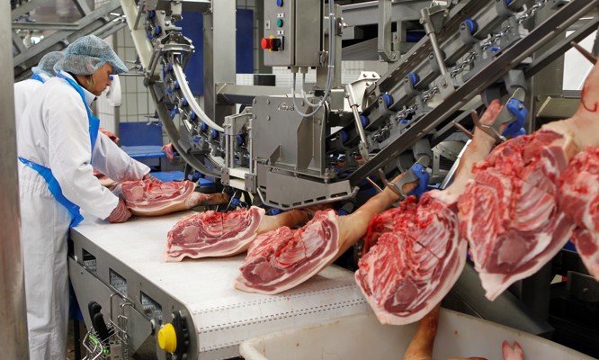 DeboFlex hanging pork cutting and deboning